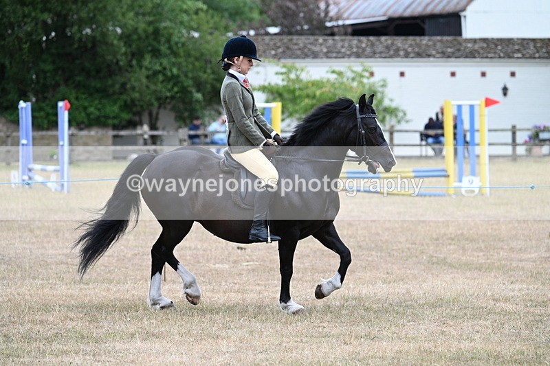 WJ7_0487 - Class 6 Ridden Mountain and Moorland