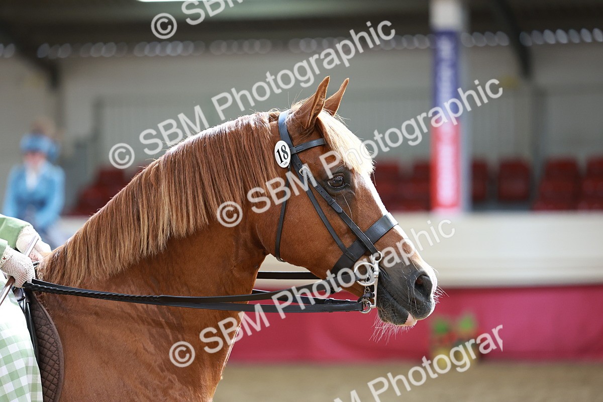 SBM_13705 - Class 106 - Ridden Costume -Astride Adult (15-19)
