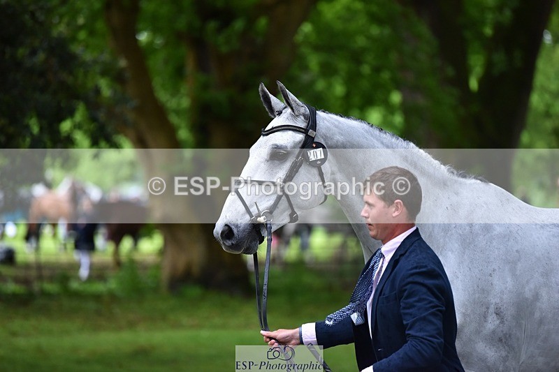 240522-162644-00922 - 207-IE_MR_MCGREGOR-Will_Furlong