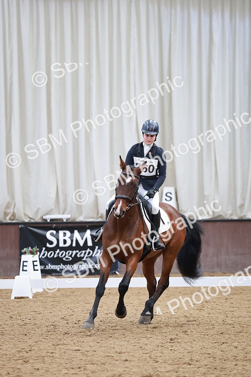 SBM_003995 - Class 2 - Novice 2020