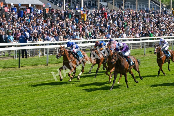 160525-Race 2-Thunder Run-6235 - Race 2 2.42pm Knights Solicitors Handicap