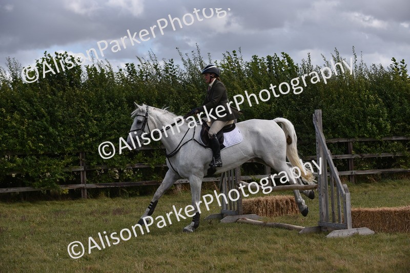 20250831-4112 - Class 13 - Working Hunter Horse or Pony