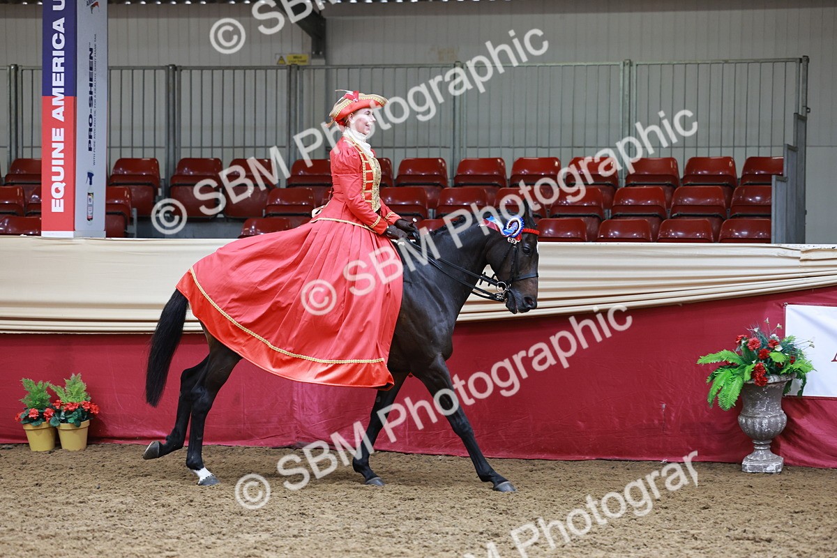 SBM_14864 - Class 107 - Ridden Costume - Astride Adult  (20+)