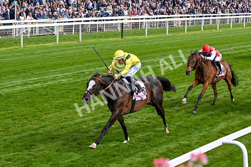 150526-Race 5-Rahiebb-0295 - Race 5 4.05pm Boodles Yorkshire Cup Stakes