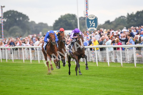 230823-Race 3-Continuous-0439 - Race 3 3.00pm Sky Bet Great Voltigeur Stakes