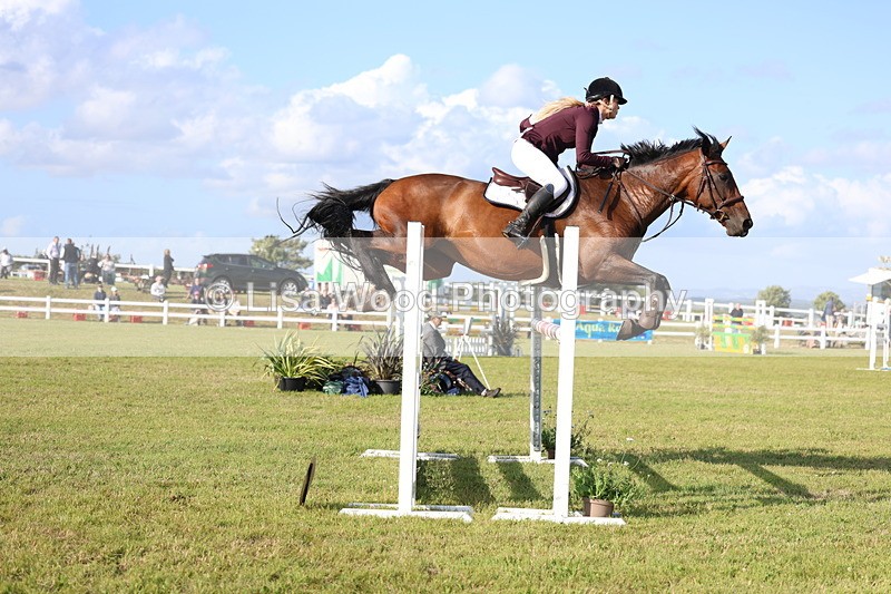 3E7A4441 - Class C: Showjumping Senior Foxhunter