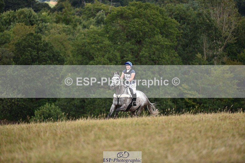 250802A-151154-06939 - D-164-Haley.Northcott-FOLDING.STAR