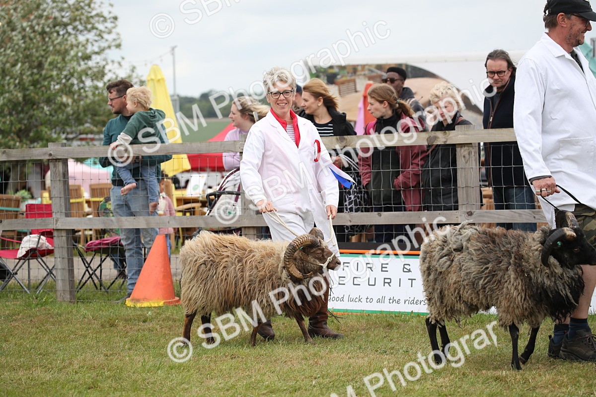 SBM_07795 - Grand Parade