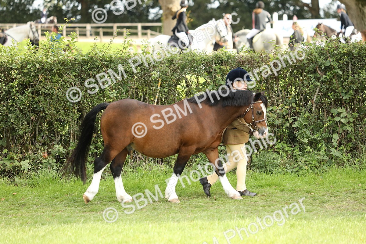 SBM_67680 - S39 - Junior Handler 8  Years & Under