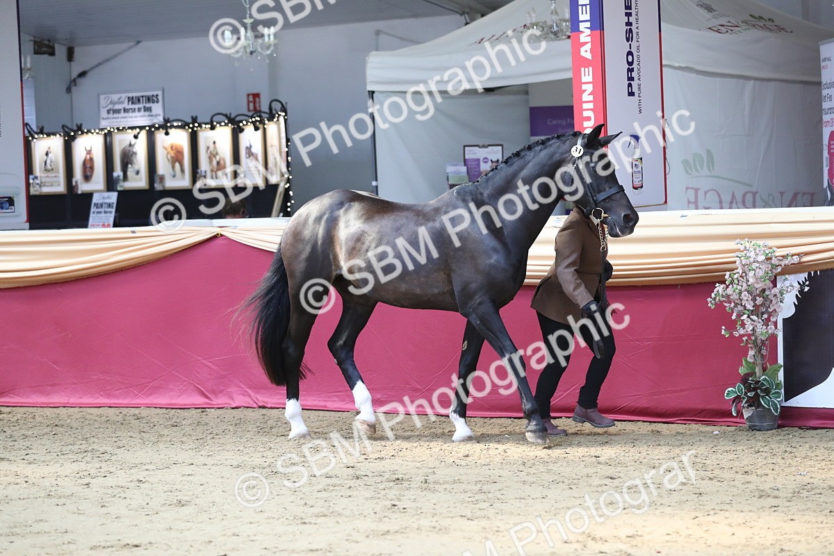 SBM_04512 - Class 7R Regional - IH Diamond