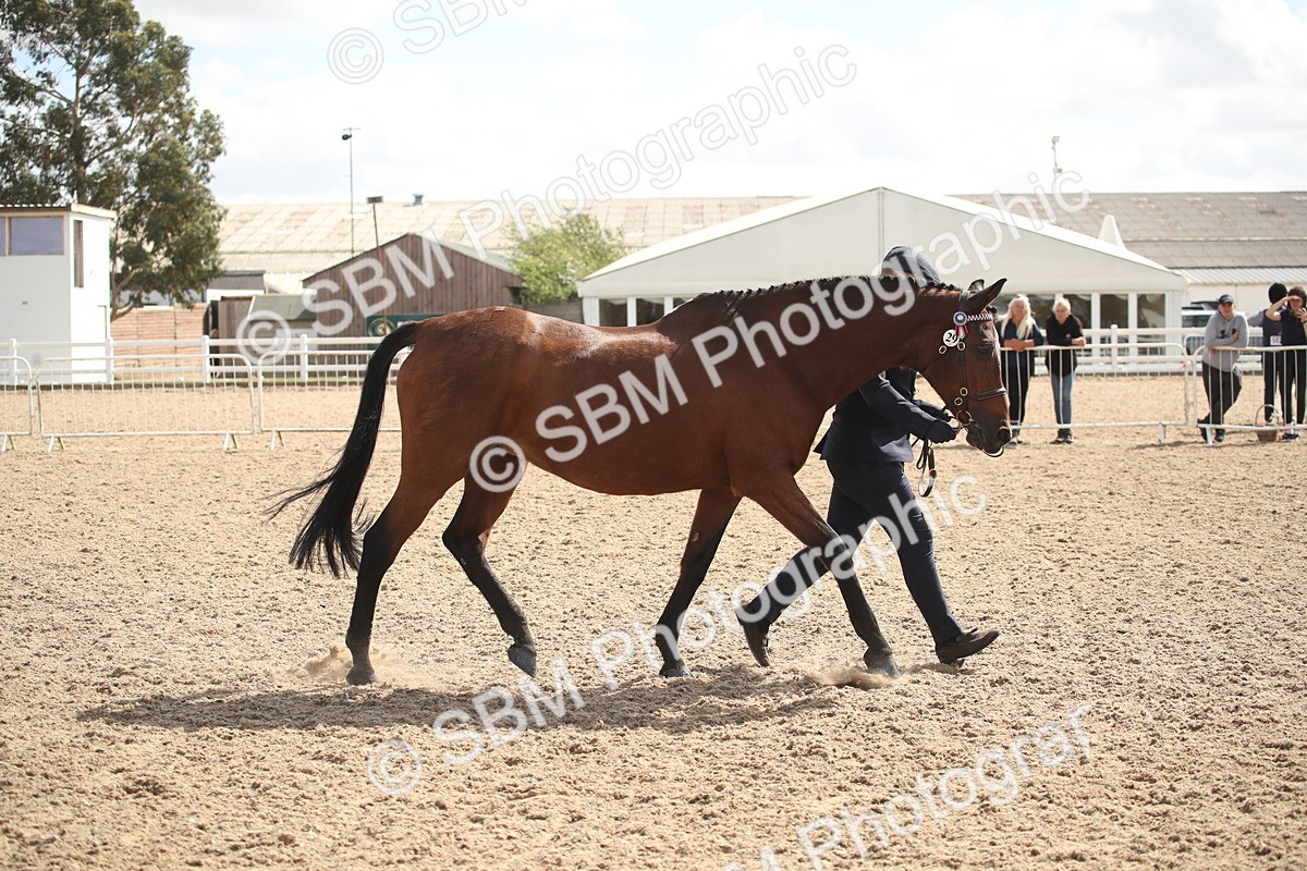 SBM_23443 - Class 604 - 2026 - Area IH Diamond