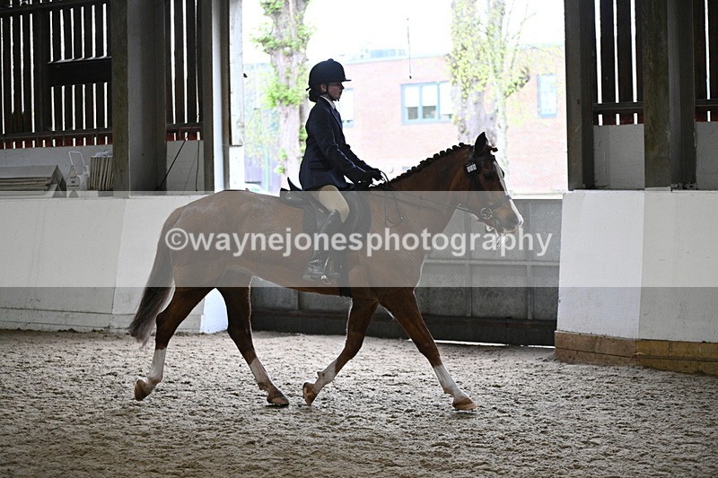 WJ7_3775 - Class 17 Ridden Cob