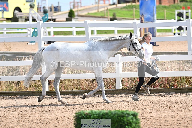 240717A-155955-03251 - Trot Up 3pm to 4pm