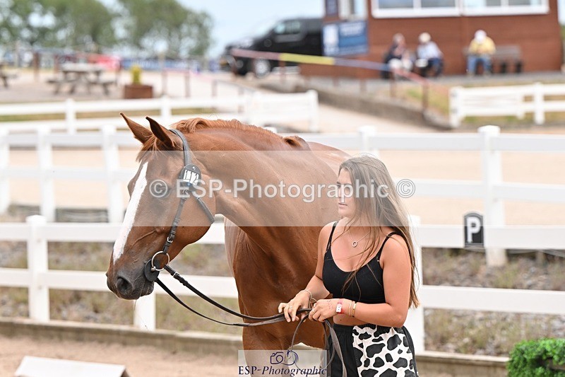 250716-144513-01366 - Trot Up 2.30 to 3.30