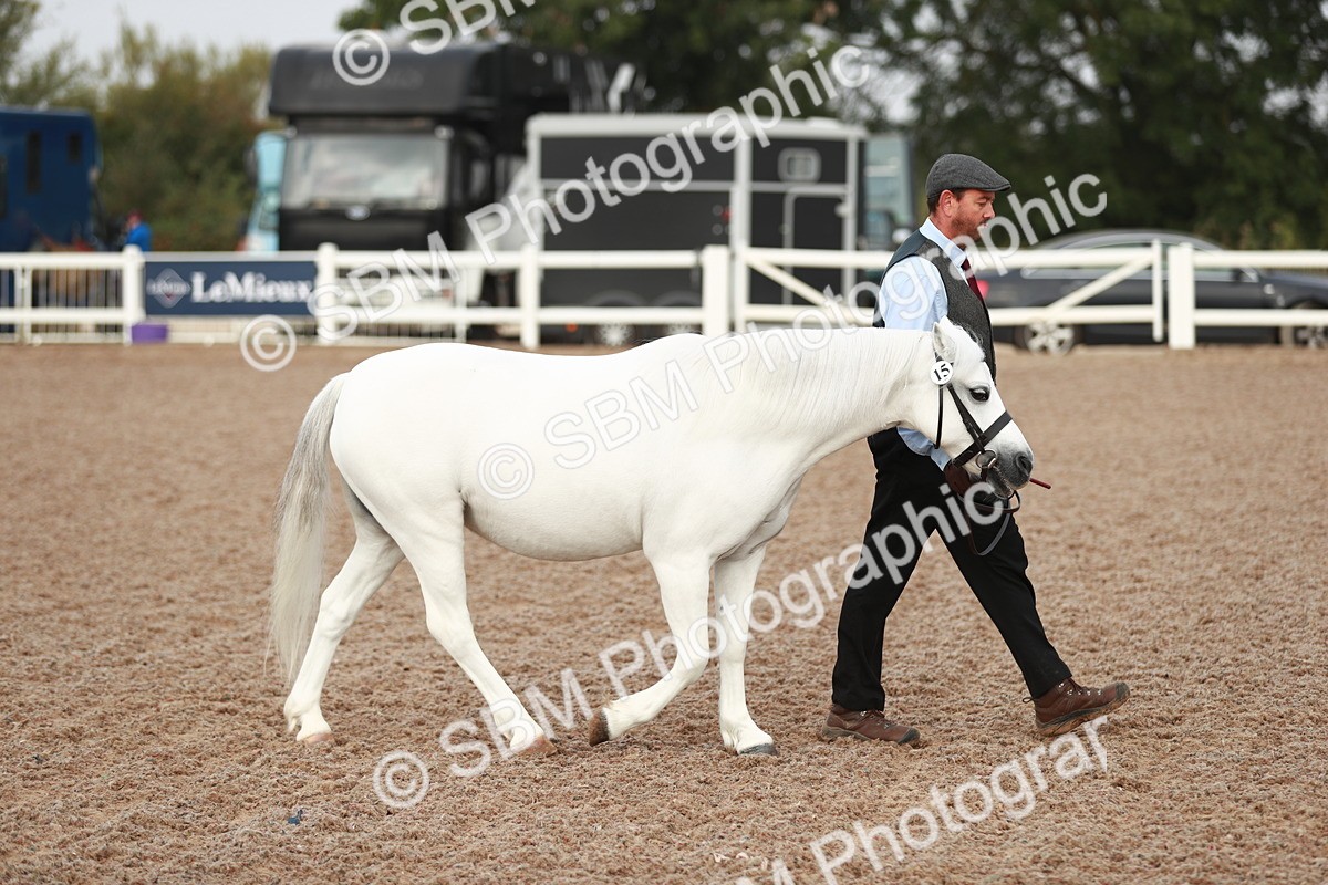 SBM_09478 - Class 201 Best Turned Out IH