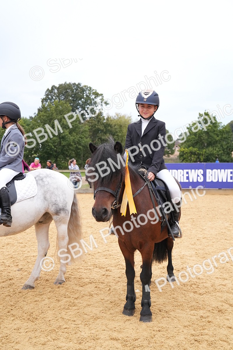 SBM_71781 - J3 - Mini Tour Junior Pony 40cm Championship