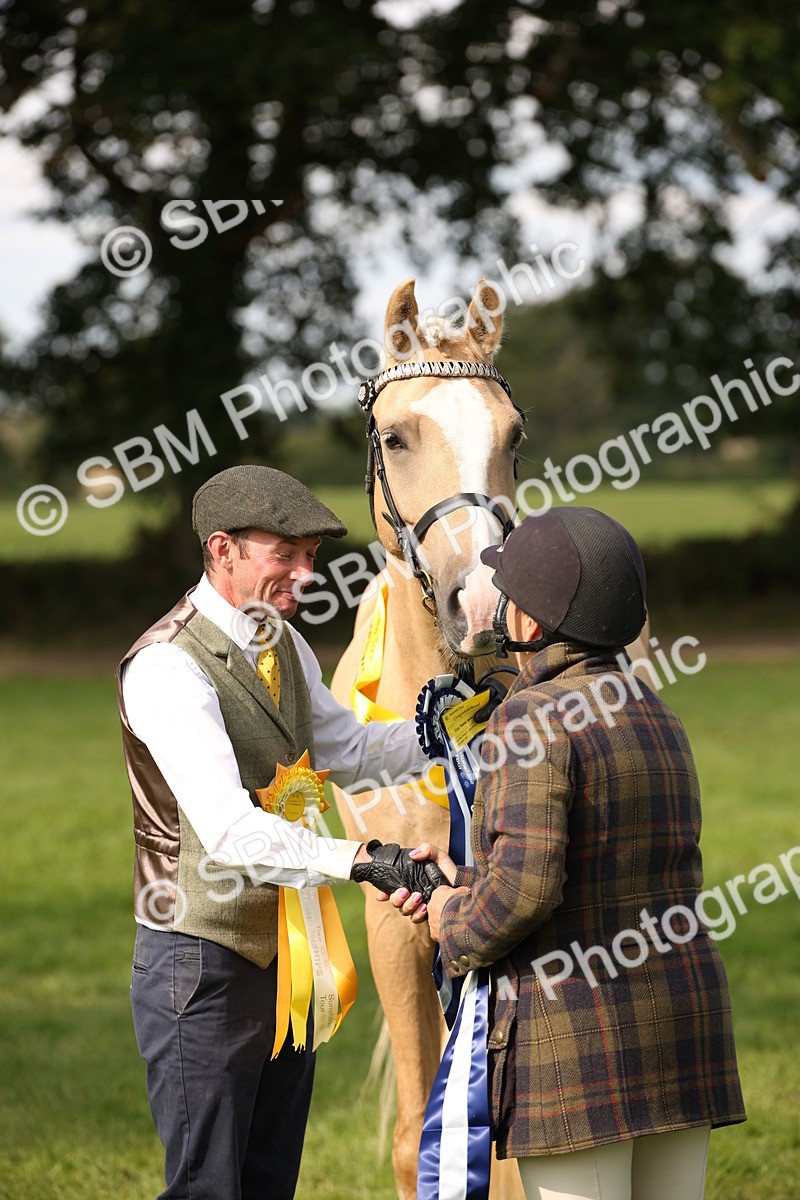 SBM_62955 - In Hand Horse Supreme Championship