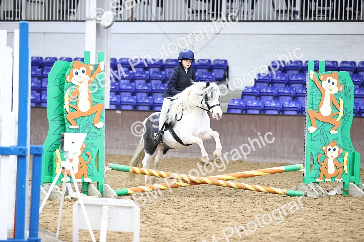 SBM_000192 - Class 2 - The Rug Lady 40cm Area 12 Championship Qualifier