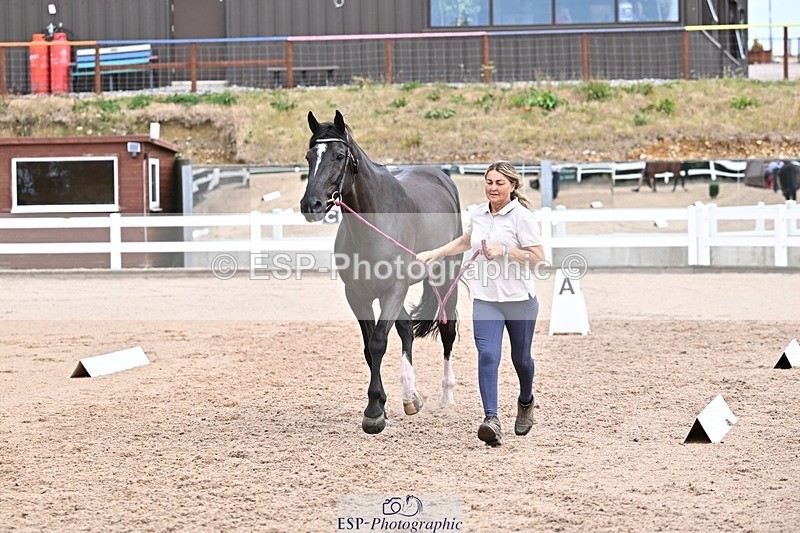 250716-135005-00688 - Trot Up 1.30 to 2.30