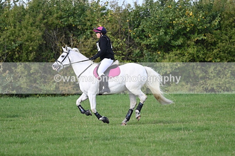 WJ7_8665 - Time 11:10 to 11:53