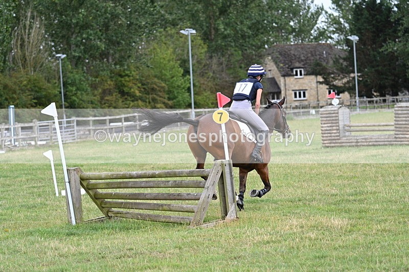 WJ7_4600 - All of 80cm