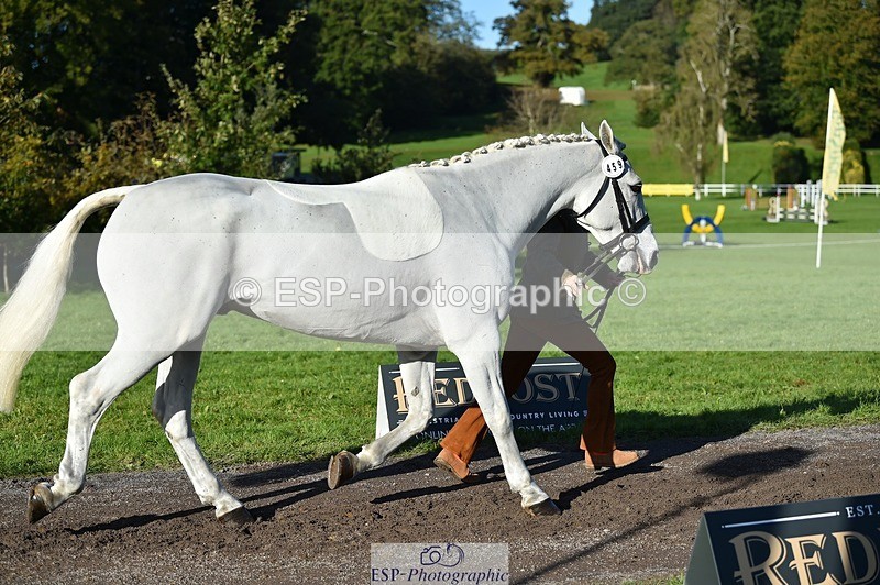 231022-103320-22557 - 459-CEIDE.HUMPHRY-Helen.Hickson-TrotUp+SJ