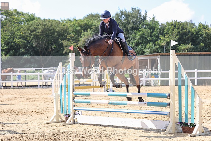 3E7A1001 - Class 4: Senior British Novice/90cm open