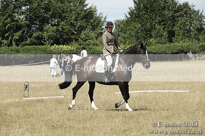 _PJP5867 - Dressage Classes BVRC Show 2018