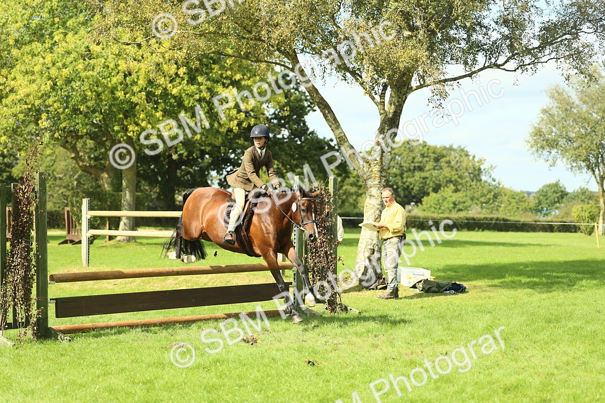 SBM_44598 - S31 - Working Hunter Pony