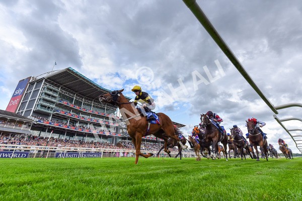 260725-Race 4-Air Force One-2-2 - Race 4 3.20pm Sky Bet 'Jump Jockeys' Nunthorpe' Handicap