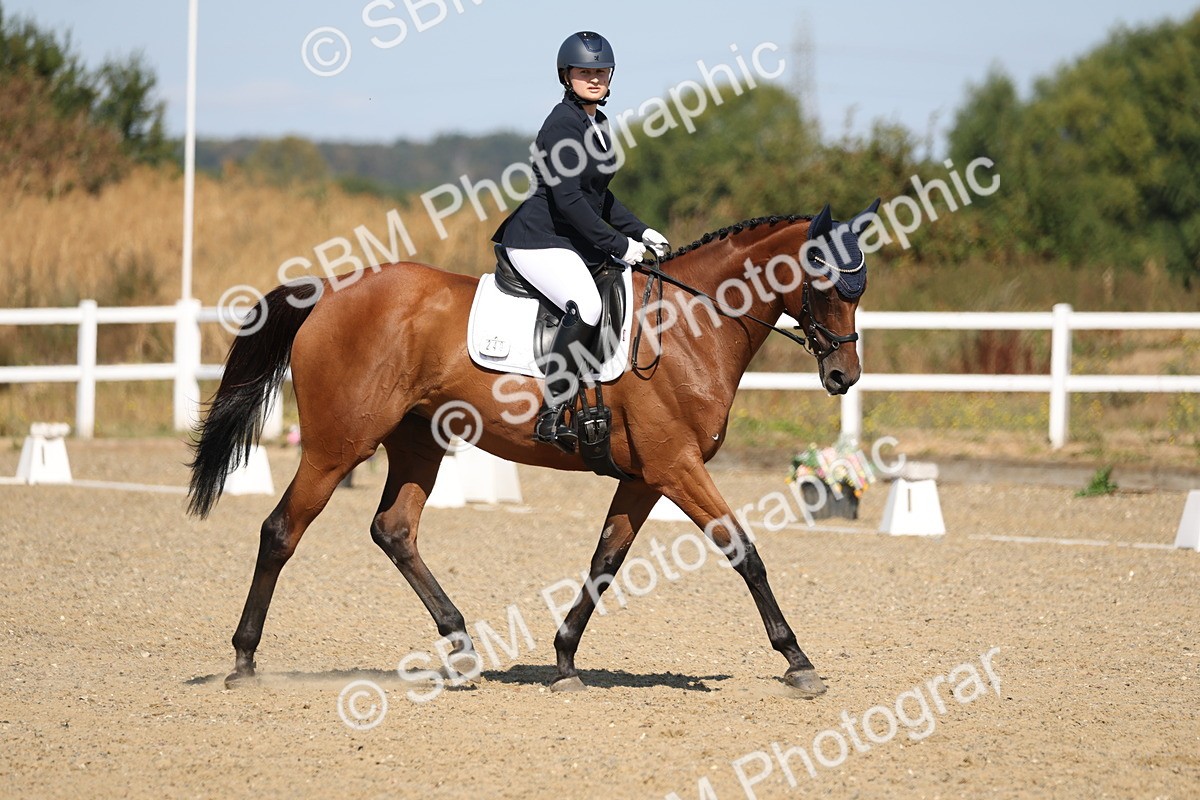 SBM_013499