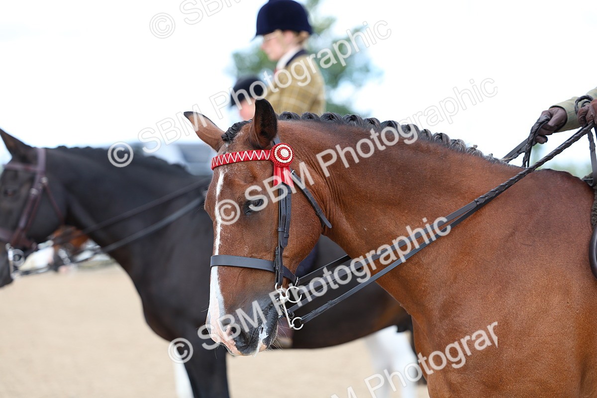 SBM_10104 - Class 304 - Ridden Part Bred Horse Pony