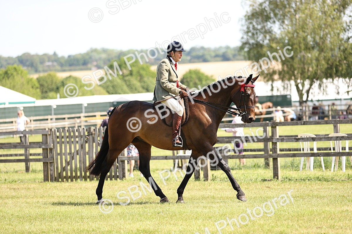 SBM_13063 - Class 75-76 LIHS BSHA Rising Star Hack Riding Horse