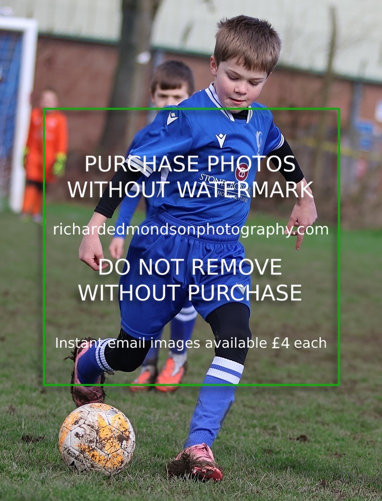 533A8312 - Ibis Under 8's (14/3/26)