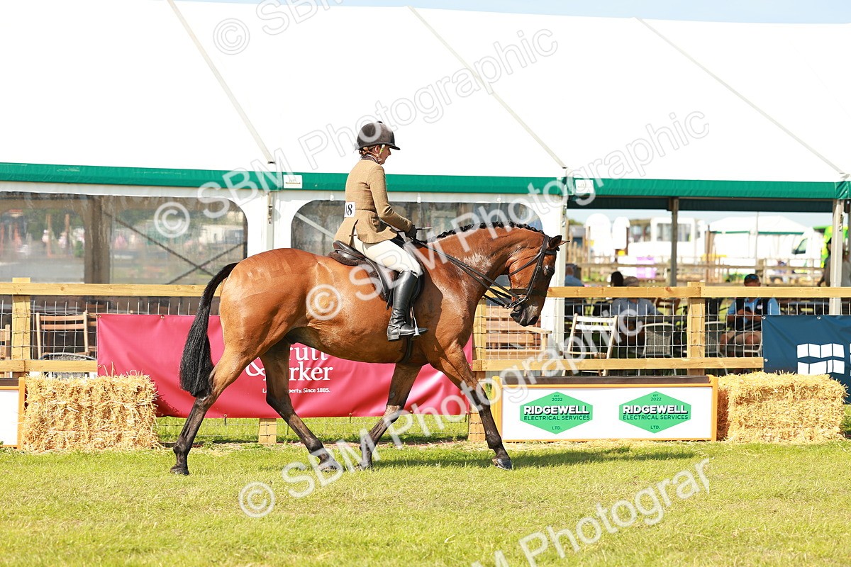 SBM_12018 - Class 66-69 - RIHS Ridden Hunters Inc Small Hunter