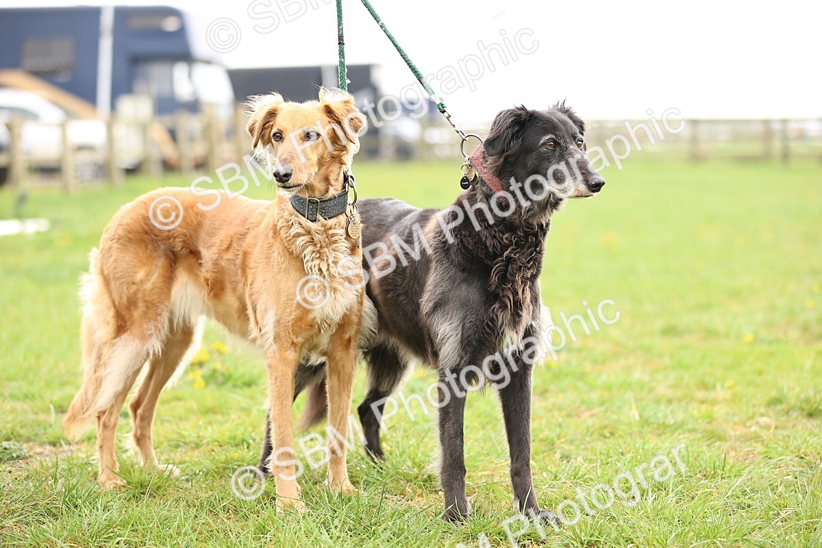 SBM_000264 - Class 3 - P4