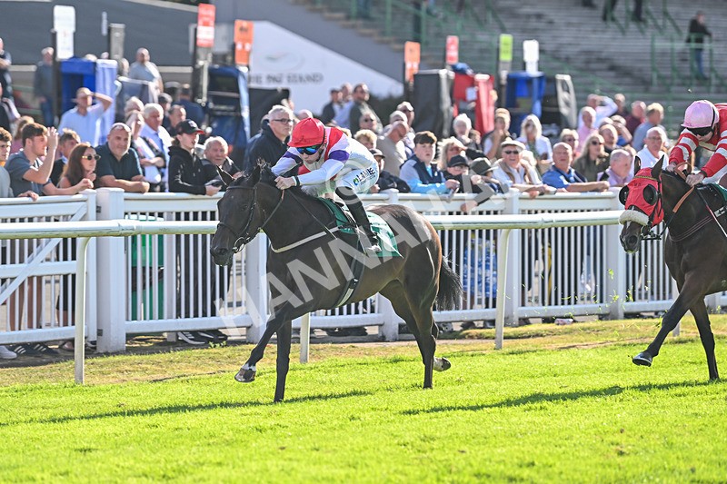 290825-Race 7-Crocus Time-9273 - Race 7