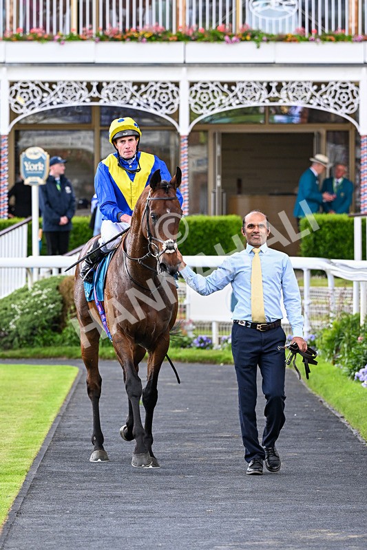 130626-Race 6-Point Of Contact-2200 - Race 6 16.50pm Ice Co Supporting Macmillan Handicap