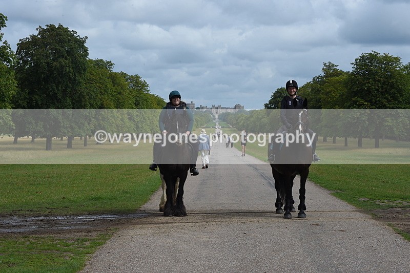 TT3_9156 - Time at Crossing 09:22 to 11:26