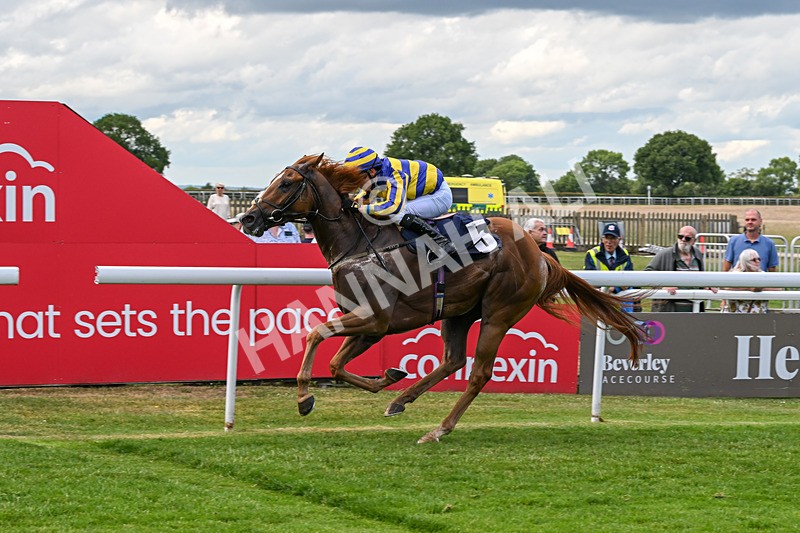 240625-Race 7-Azuinthejungle-9369 - Race 7