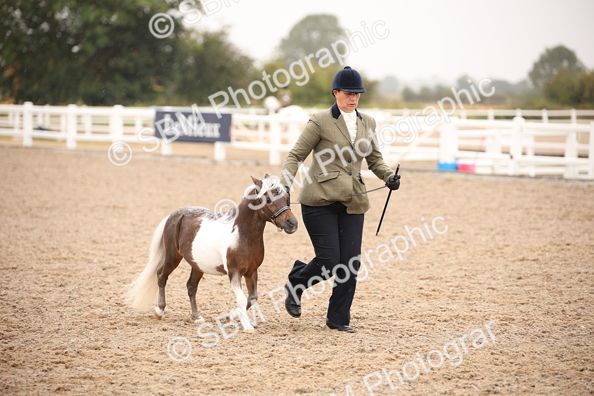 SBM_20184 - Class 703 - IH  Coloured