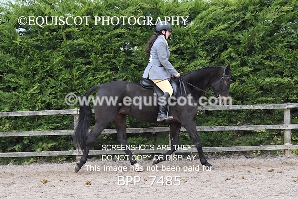 BPP_7485 - RING 1  (RIDDEN HORSES / IN HAND / VETERAN ETC)