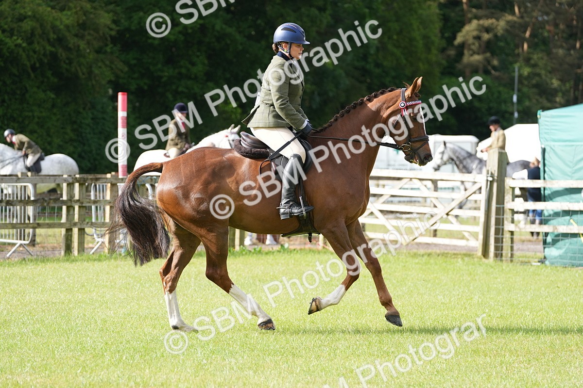 SBM_10580 - Class 97-98 - LIHS BSHA Rising Star Working Show Horse Hunter