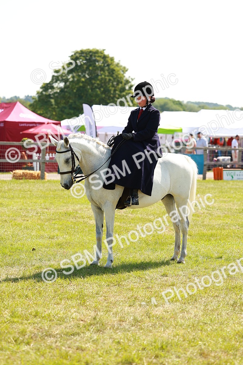 SBM_13362 - Class 70-71 - Side Saddle