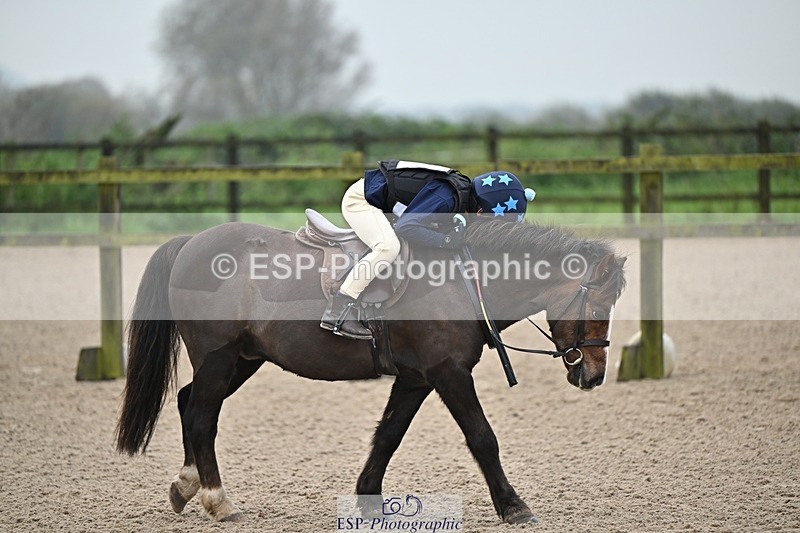 241110-094021-00053 - 40cm Showjumping