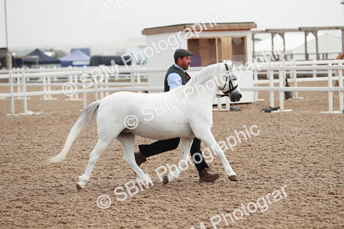 SBM_09599 - Class 201 Best Turned Out IH