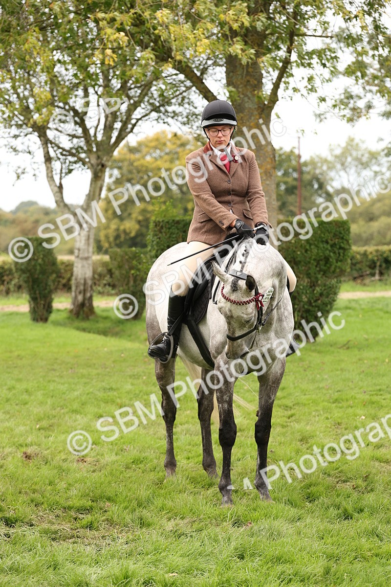 SBM_64277 - S65 - Riding Horse & Hack & Thoroughbred Ridden