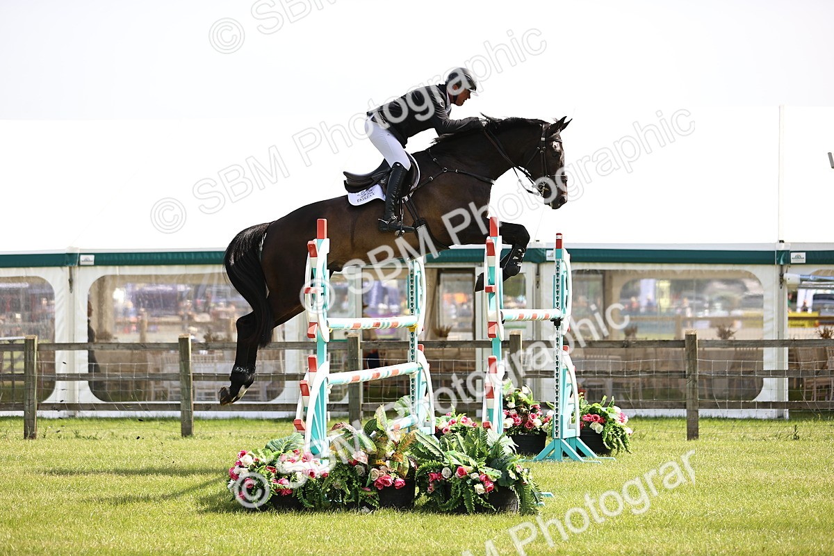 SBM_03002 - Class 201 - British Horse Feedds Speedi Beet HOYS Grade C
