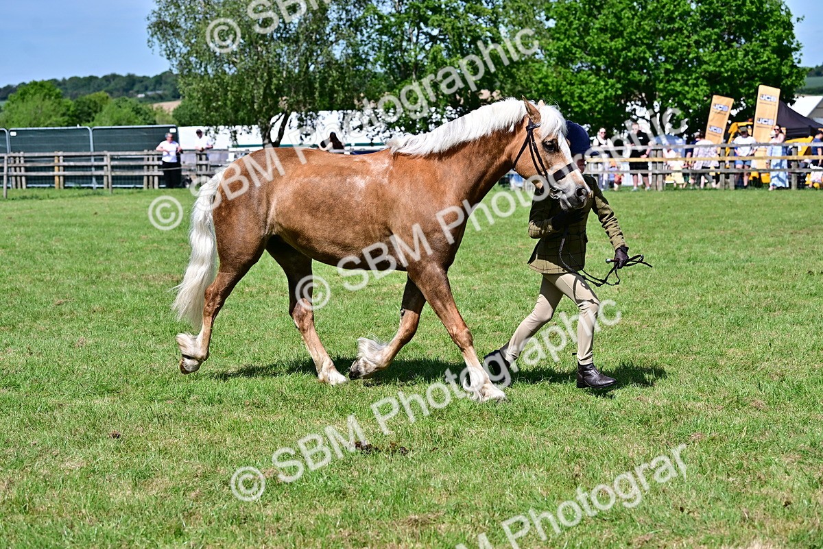 SBM_08081 - Class 61-62 - TSR  M&M Ridden Amateur of the Year