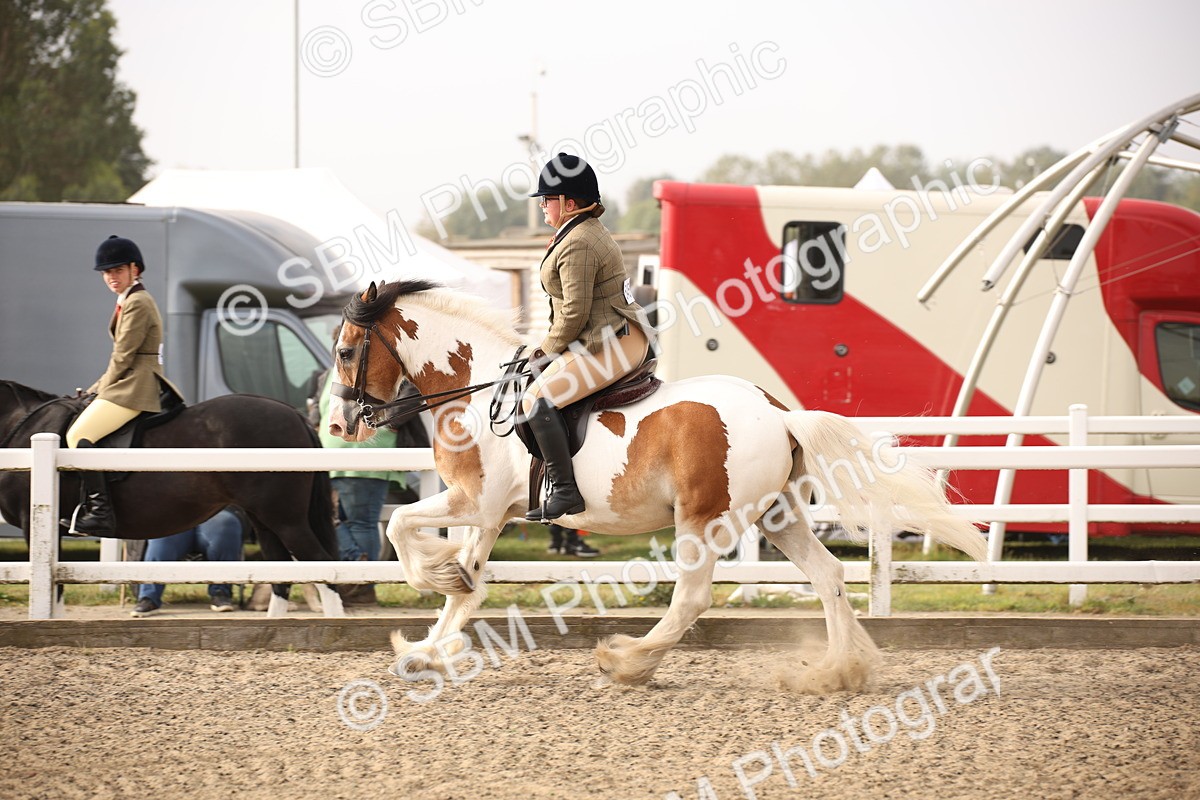 SBM_10228 - Class 402 Riding Club Horse